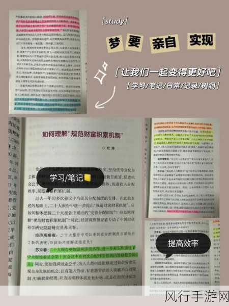 妄想山海东山开局策略，资源布局与财富积累深度剖析