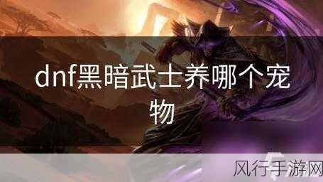 DNF 黑暗武士宠物养成攻略，究竟该选谁？