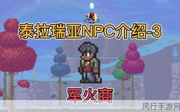 探索泰拉瑞亚，寻找售卖吊灯的神秘 NPC