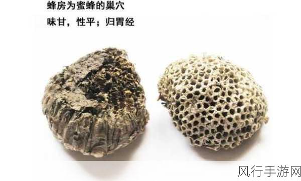 矢量塔防蜂巢汉化版风靡，活动助力营收飙升