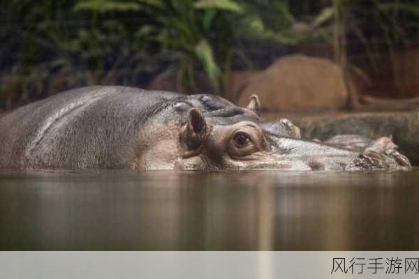 4 月 2 日究竟有何特殊？探索蚂蚁庄园 4 月 1 日最新答案