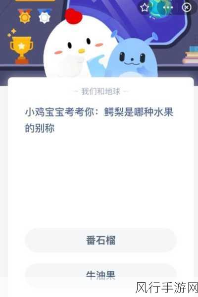 探索阿拉善沙漠，小鸡宝宝考考你的神秘领域