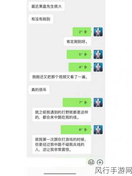 深度解析果盘先生梗，探寻手游背后的趣味现象