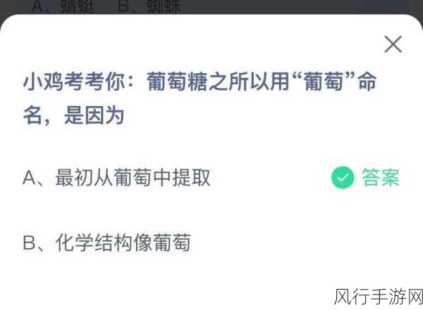 探究葡萄糖命名背后的奥秘，蚂蚁庄园 11 月 3 日答案解析