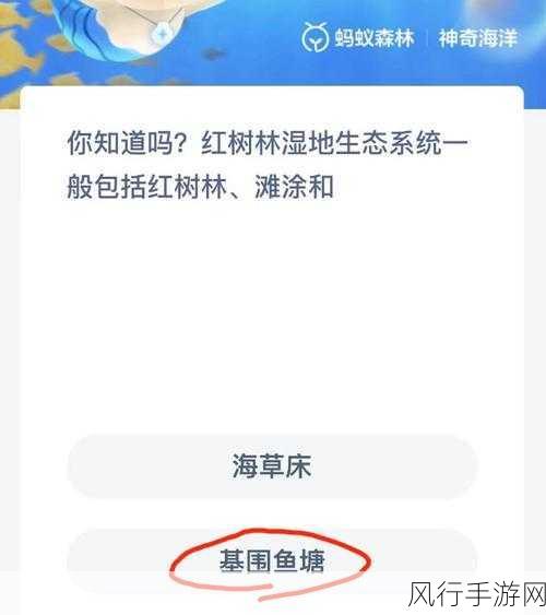 探索神奇海洋，海水酸碱度之谜与蚂蚁森林今日答案
