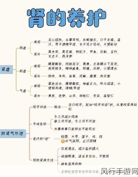 探索小小王国的无尽奥秘，全方位攻略指南