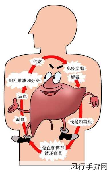 炉石传说紫罗兰法师免疫机制深度解析