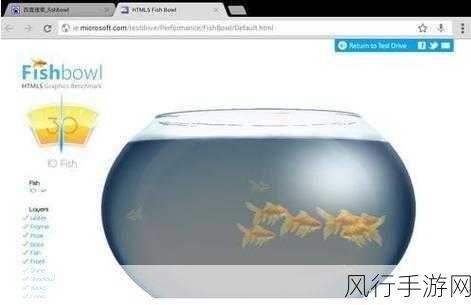 探索 HTML5FishBowl 网址入口，揭秘 Fishbowl 鱼缸测试的魅力