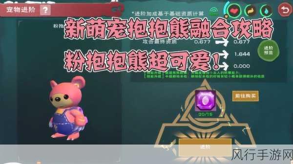 创造与魔法粉抱抱熊合成全解析，揭秘手游市场新宠的养成之路