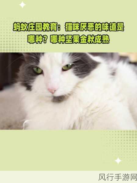 猫咪吃鱼的奥秘，会被鱼刺卡到吗？——蚂蚁庄园探索