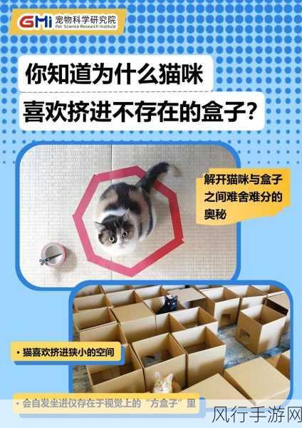 猫咪吃鱼的奥秘，会被鱼刺卡到吗？——蚂蚁庄园探索