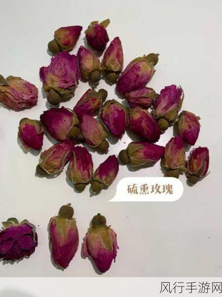 探索玫瑰花茶的魅力，水温奥秘与众人喜爱之谜