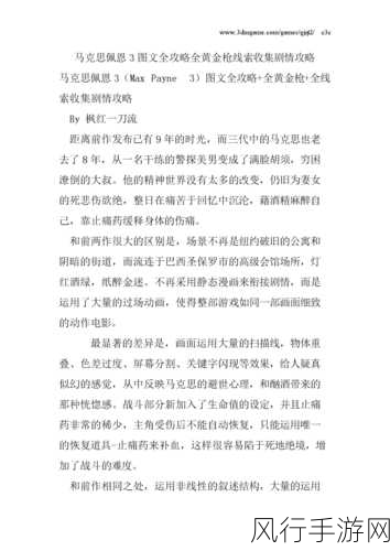 深度解析马克思佩恩 2，畅玩秘籍与全攻略指南