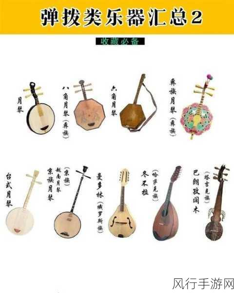 探寻我国民族乐器中的弹拨瑰宝