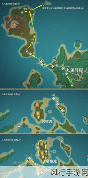 原神血斛采集攻略，高效路线与位置详解