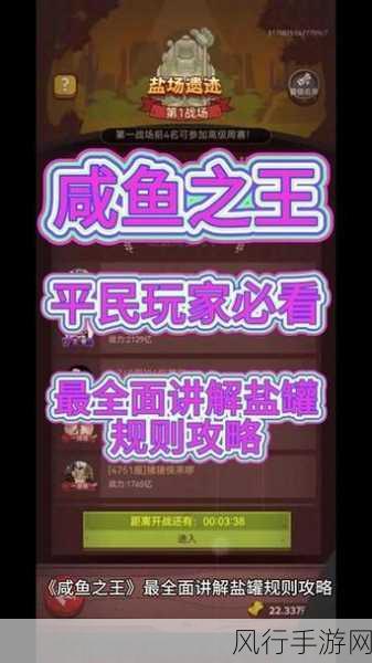 咸鱼之王，盐罐收集技巧与收益最大化策略