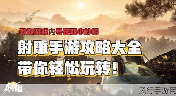 射雕手游游河北序，珍稀道具的获取策略与财经分析