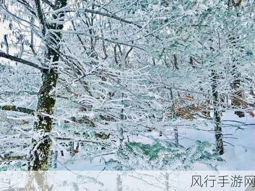 艳阳天里的大雪纷飞之谜