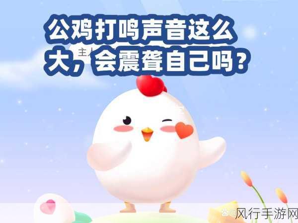 探究公鸡打鸣之谜，声音大却不会震聋自己