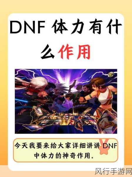 DNF体力与精神属性，职业需求与财经数据深度解析