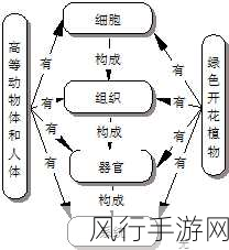 探秘蚂蚁庄园海洋里的海绵，植物还是动物？