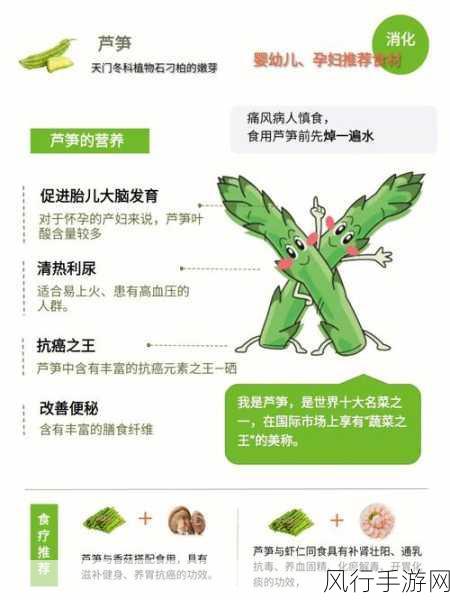 探寻美味芦笋的秘密，顶部花苞紧闭的芦笋为何口感佳