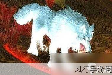 探寻魔兽世界泰罗卡狼蛛的隐匿之地