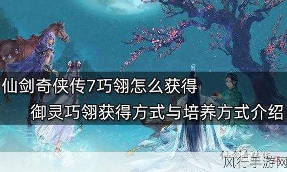 仙剑7御灵养成攻略，深度解析与财经数据