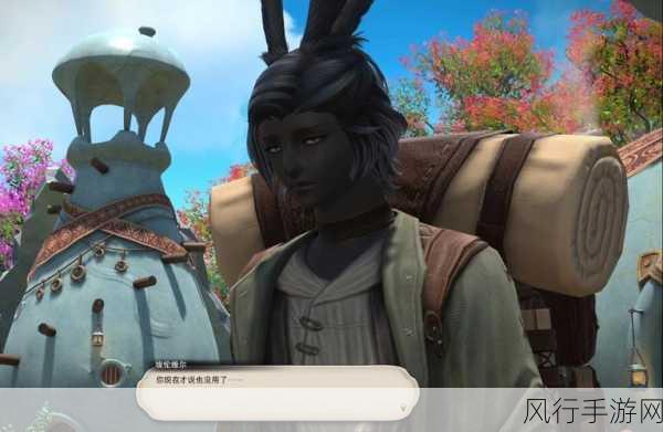 探索 FF14 埃伦维尔的独特魅力，捏脸数据与参数全解析