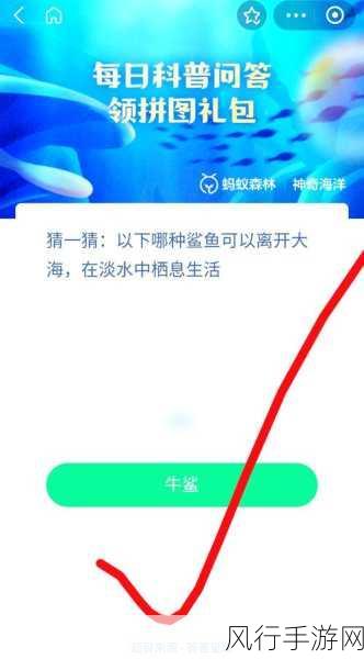 密封良好的大米为何还会生虫？探寻蚂蚁庄园背后的答案