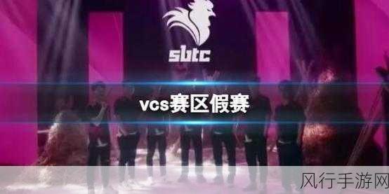 走进英雄联盟 VCS 赛区，独特魅力与激烈竞争