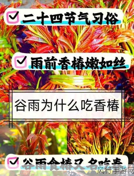 谷雨节气吃春，探寻神秘的春之植物