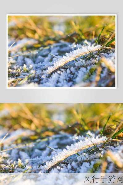 揭秘冬季雪封草地时动物的救命草