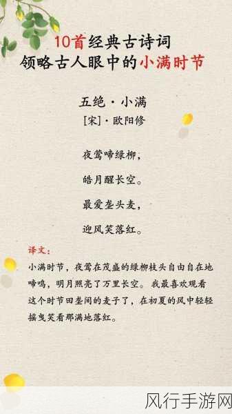 枇杷与柚子，小满节气时令水果的探寻