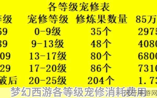 梦幻西游宝宝升级秘籍，快速提升宝宝实力之路