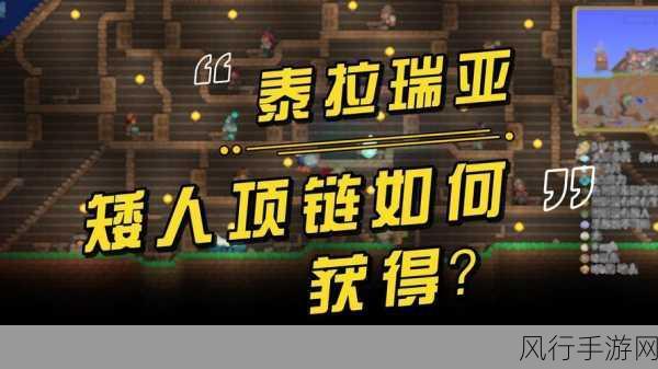 泰拉瑞亚矮人项链，获取途径与使用技巧深度剖析