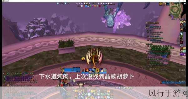 探索魔兽世界 WLK 中的神秘下水道炖肉锅位置