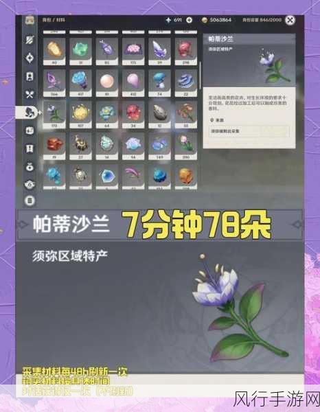 原神妮露法位置揭秘，须弥城内的关键NPC