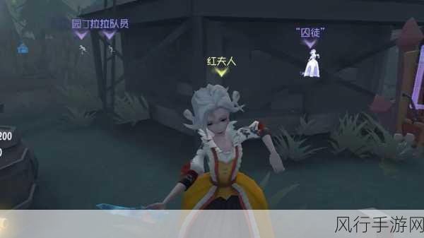 第五人格红夫人角色深挖，揭秘背后的经济版图与玩家热情