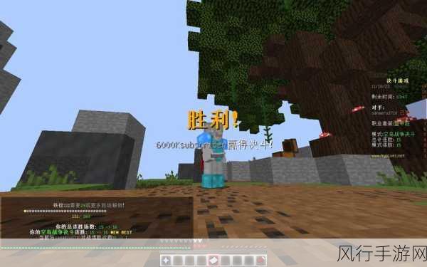 我的世界Hypixel服务器Skywars，组队策略与财经数据透视