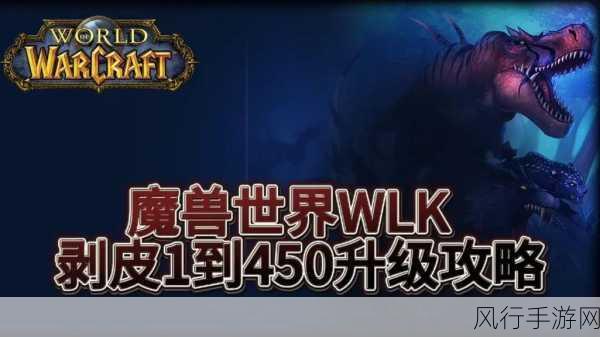 探索魔兽世界 WLK 怀旧服，攻略秘籍大揭秘