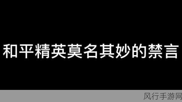 和平精英麦克风被禁言，玩家困境与手游公司应对策略