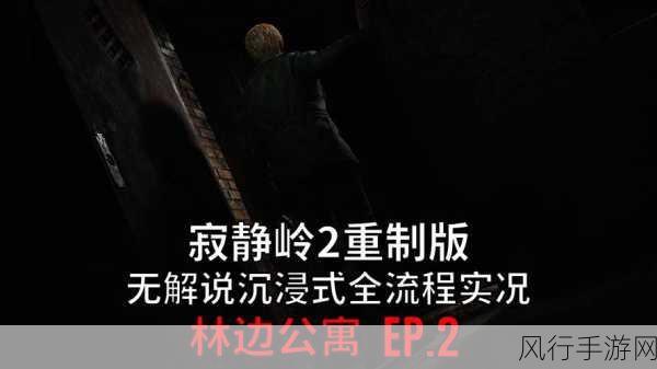 寂静岭2，重制版深度解析——林边公寓钥匙获取策略与财经影响