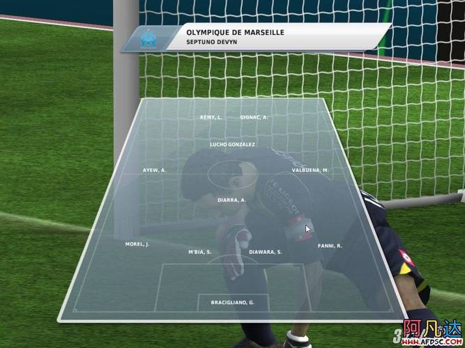 成功解决<FIFA 13>经理模式闪退难题，畅玩无忧