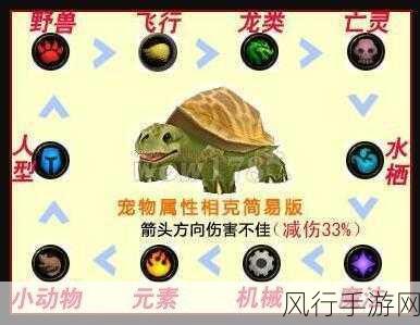 魔兽世界宠物经济，商人售卖小宠物全解析