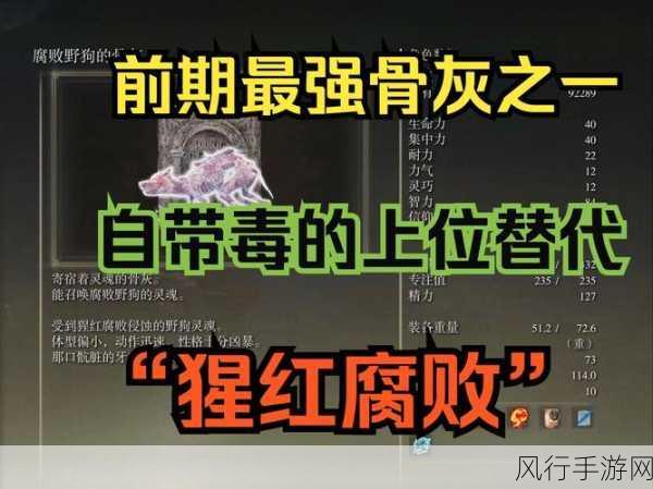 艾尔登法环骨灰强度深度剖析，市场价值与投资潜力