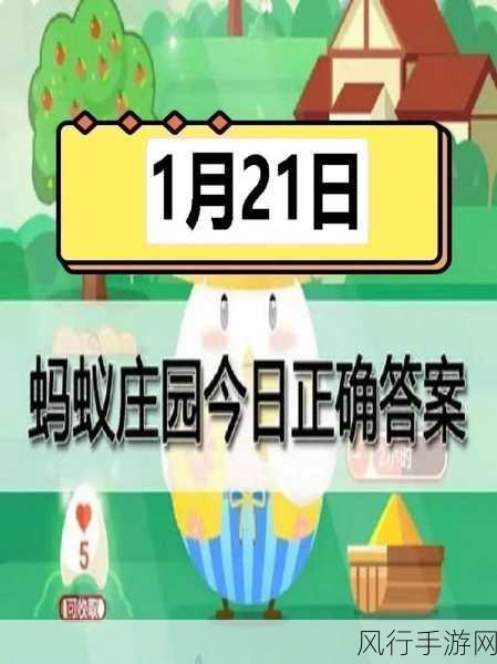 探索蚂蚁庄园 7 月 11 日的正确答案之谜