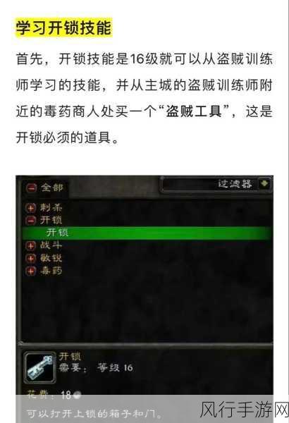 魔兽世界 80 级盗贼 PVP，毁伤与影舞的巅峰对决