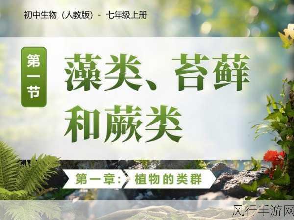 探寻古代黄色染料之植物奥秘