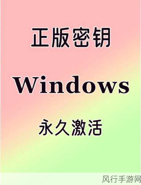 探索 Win11 多台电脑的共享秘籍